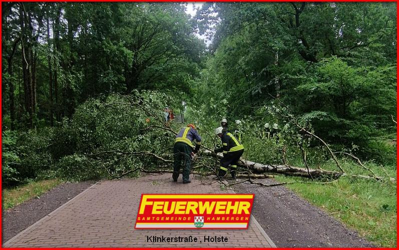 Handsirene - Feuerwehr Maibaumfest 2015 + Aufstellen des Baums